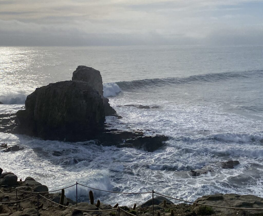 Punta de Lobos